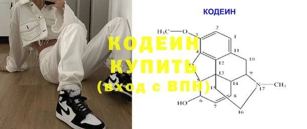 гашик Арсеньев